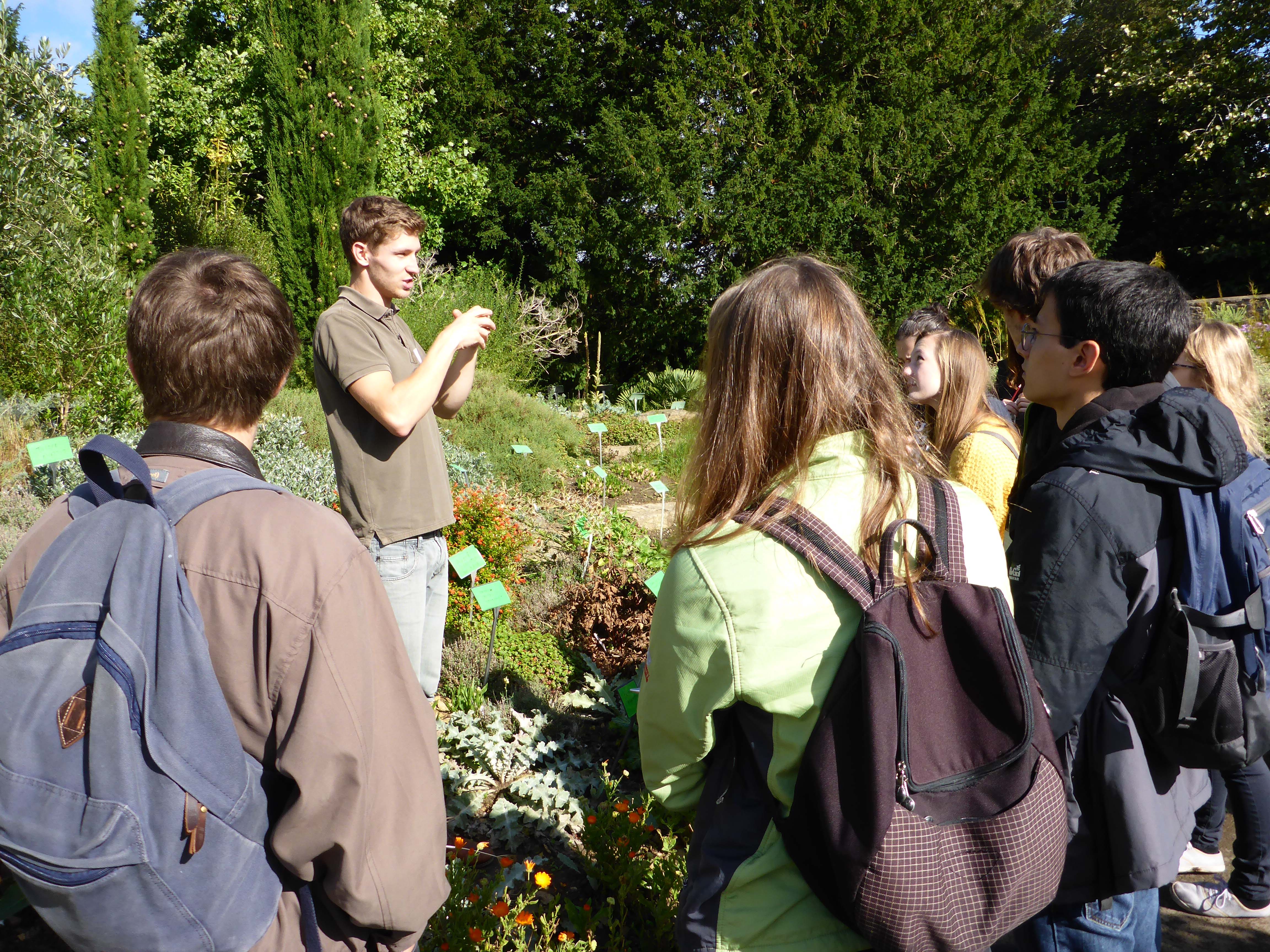 A group of students being given information by a staff member outside at the Botanic Gardens. There are large trees the background and plants all around.